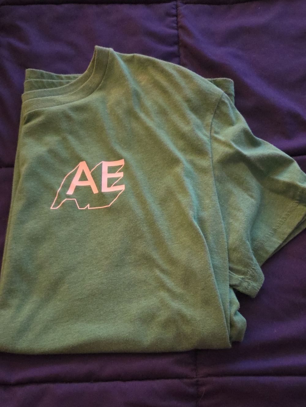 American Eagle Outfitters Mens Green Tee with White AE Logo